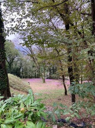  Terrain à vendre 2094 m²