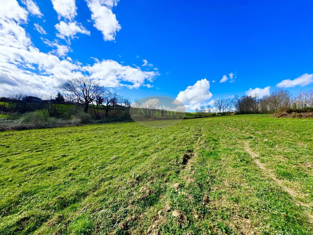 Vente Terrain Terres agricoles 22 ha Mascaras