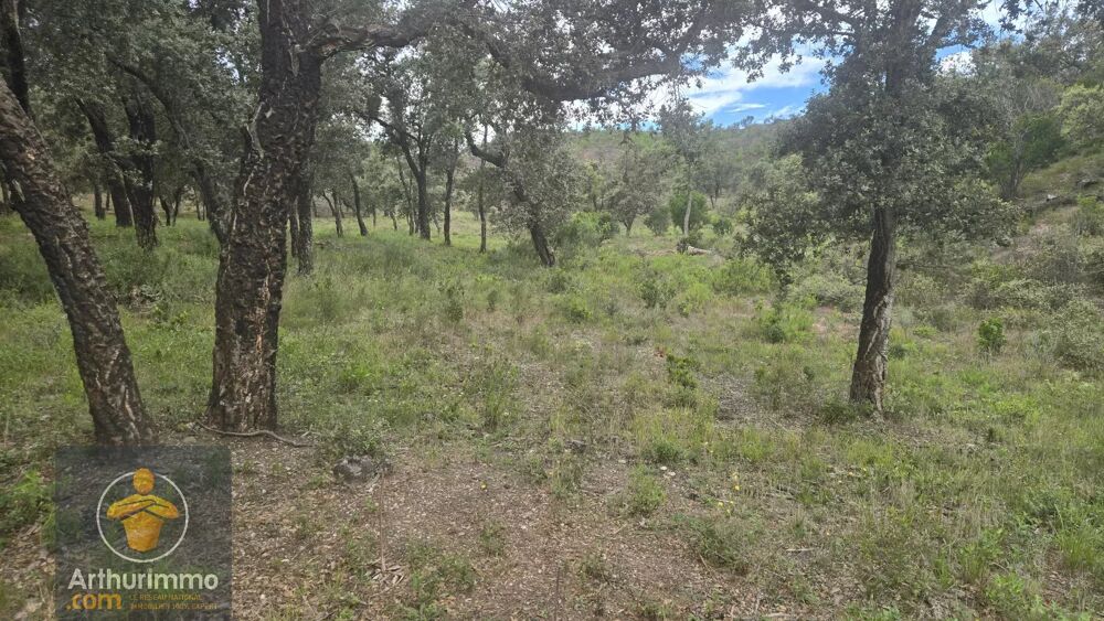 Vente Terrain Terrain naturel 4,7 ha à Bormes-les-Mimosas Bormes-les-mimosas