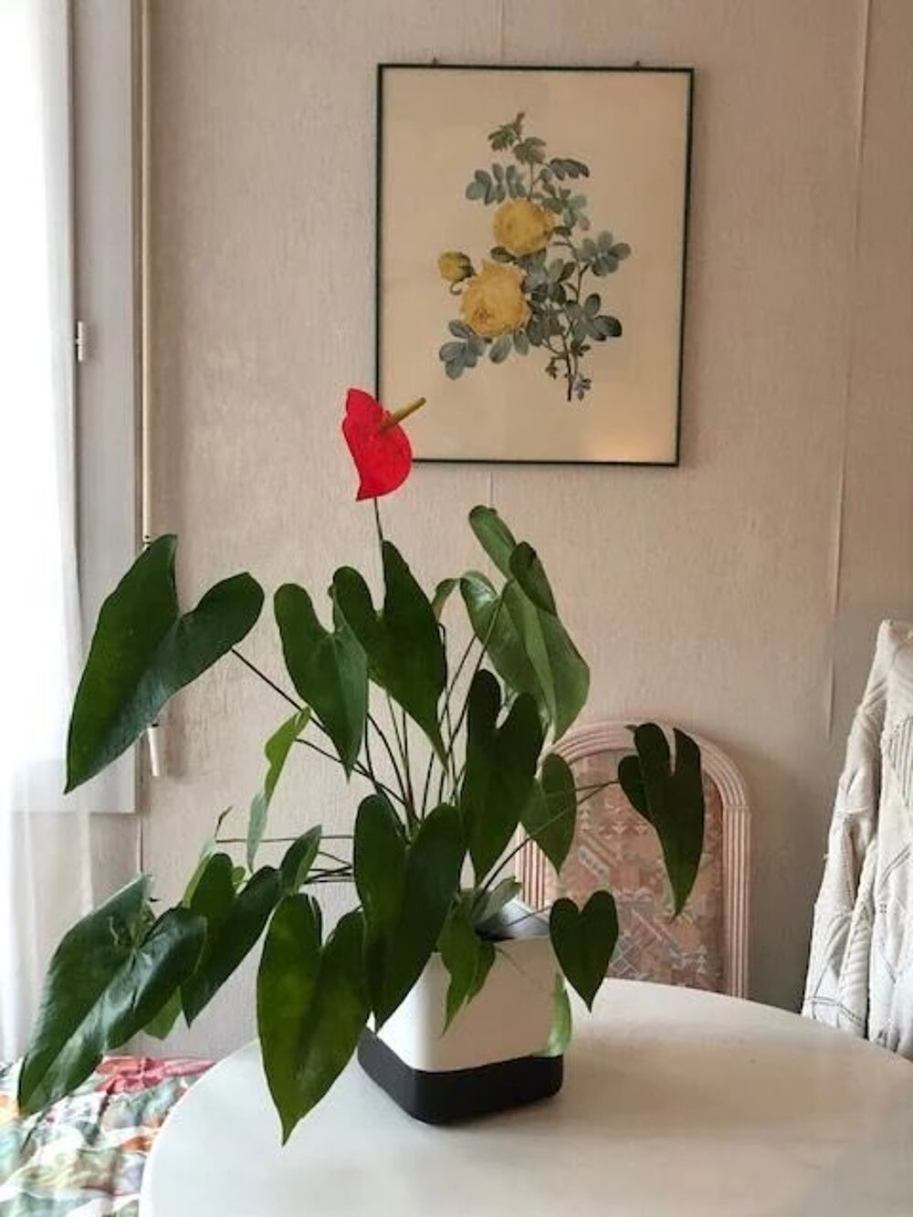 CANNES - CHAMBRE MEUBLE AVEC SALLE DE BAIN PRIVATIVE