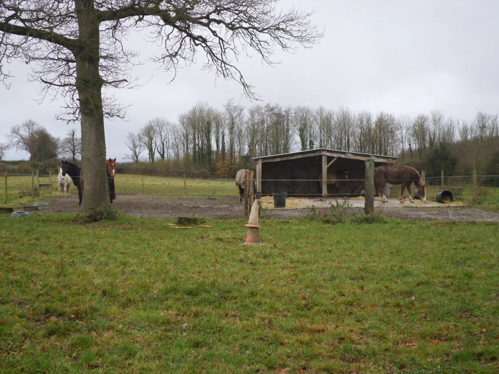   Saint-martin-choquel