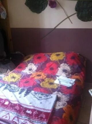  Appartement � louer 2 pi�ces 27 m�