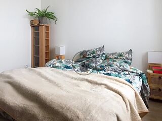  Appartement � louer 2 pi�ces 35 m�