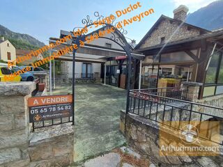  Villa à vendre 15 + pièces 380 m²