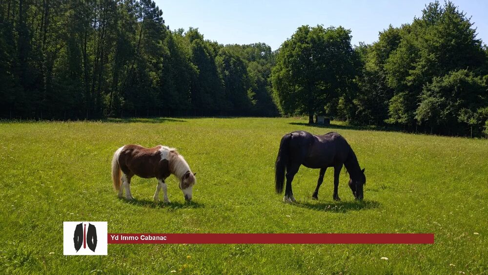 SAINT-MORILLON  Propriété de plus de 2 hectares aux portes de B