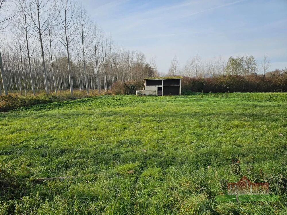 Vente Maison CHEYSSIEU, Box à chevaux 60 m² avec terrain de 2480 m² Cheyssieu