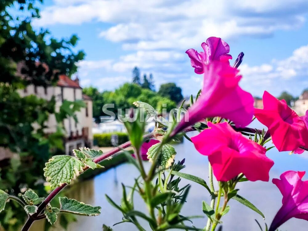 � vendre  Maison Santenay (21590)