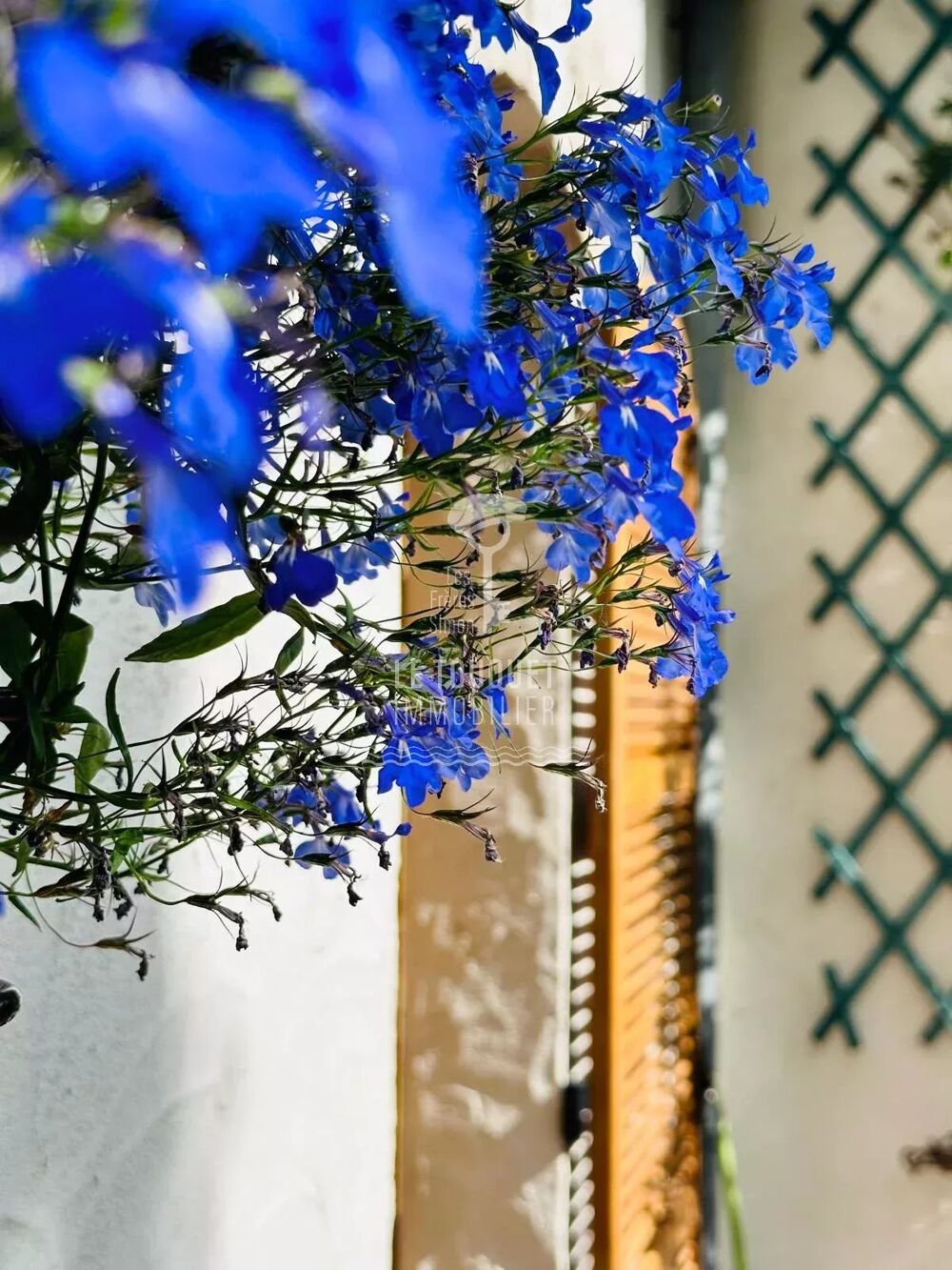 � vendre  Maison Merlimont (62155)