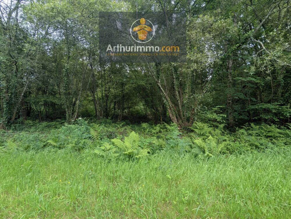 Vente Terrain GUILLAC TERRAIN BOISÉ 3 500 M² Guillac