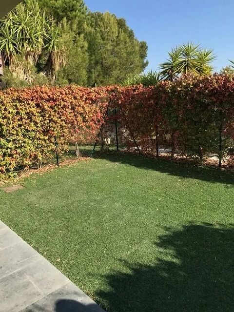  Appartement � louer 3 pi�ces 65 m�