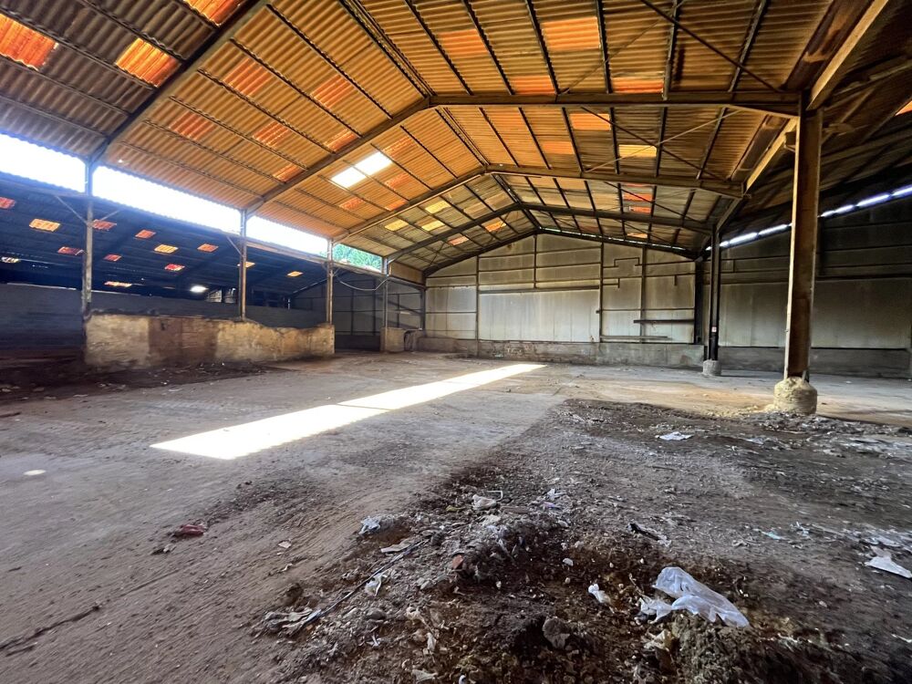 Vente Immeuble Ensemble immobilier hangar et bureau Braine Brenelle