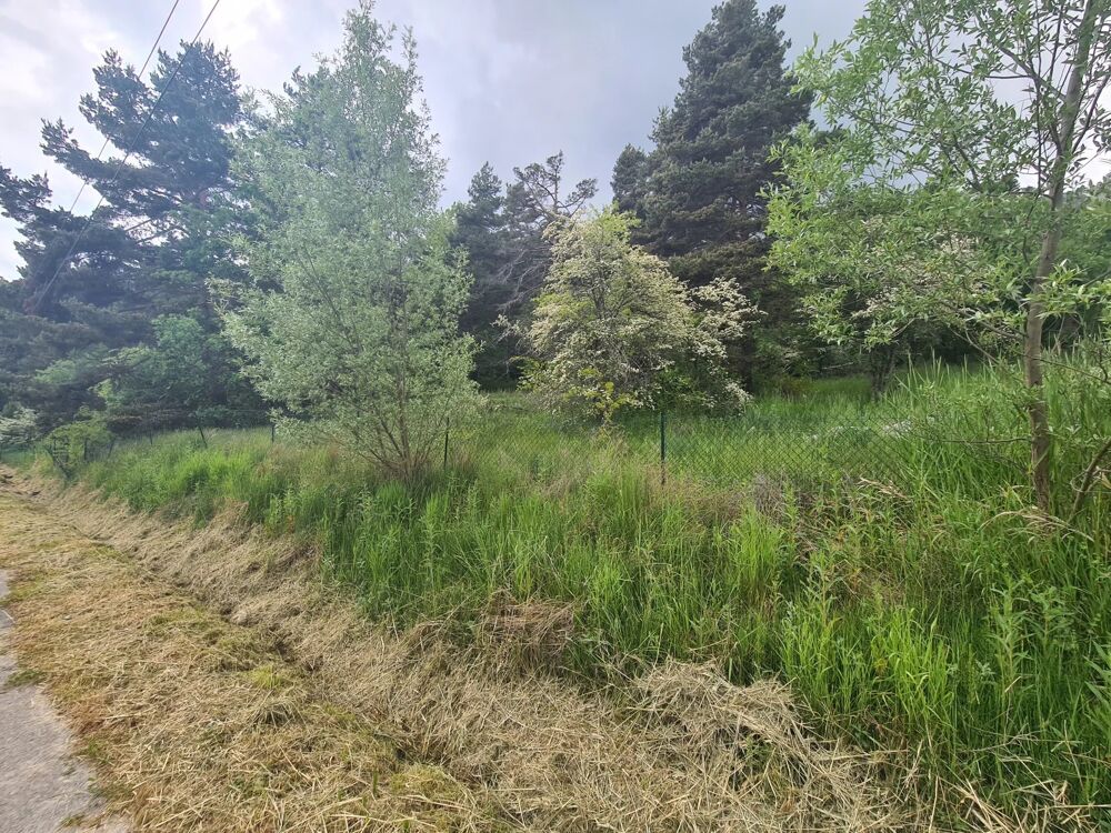 Vente Terrain THORENC : Terrain à vendre  1 896 m² de nature Andon