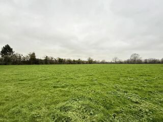 Vente Terrain ideal promoteur ou investisseur !!! Gournay-en-bray