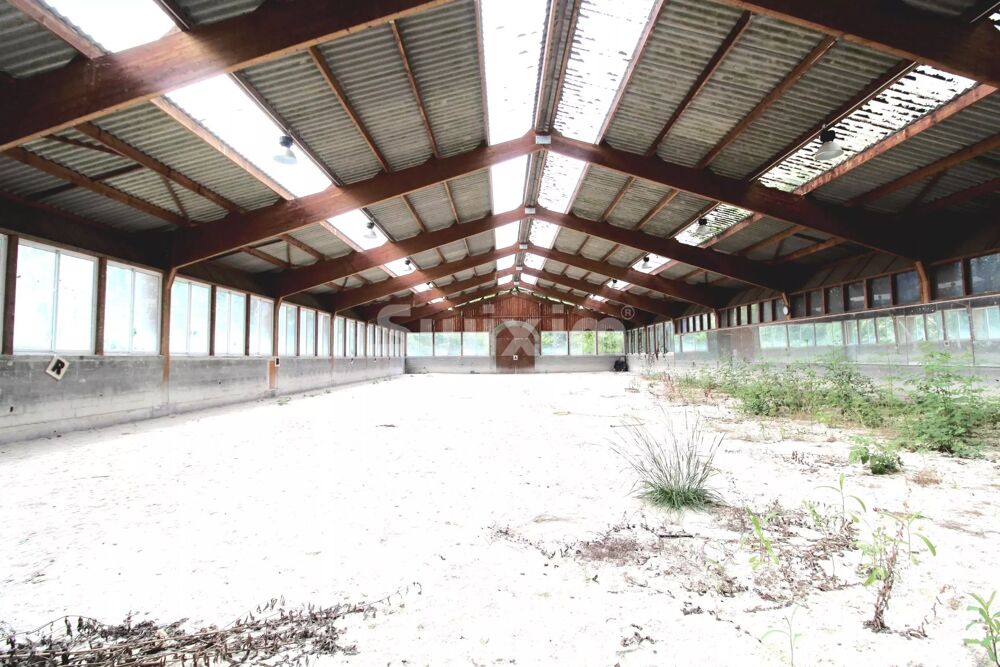 Vente Maison Propriété équestre à fort potentiel avec 2 hectares proche Genèv Allinges