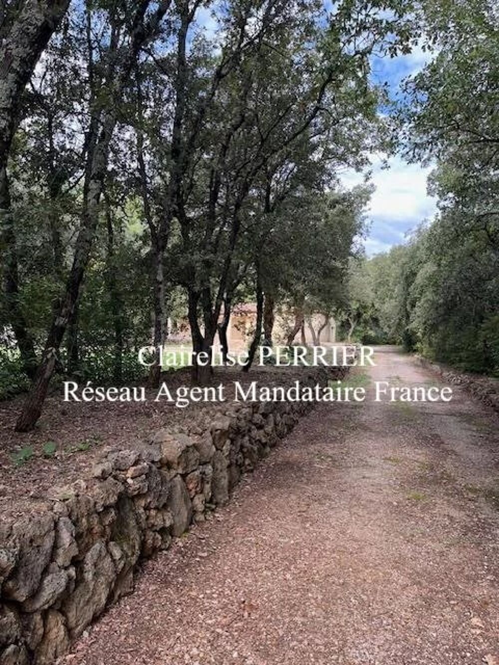 MAISON CONTEMPORAINE DE PLAIN-PIED SUR GRANDE PARCELLE