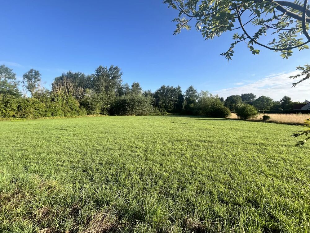 Vente Terrain Terrain constructible Presles et Thierny Presles-et-thierny