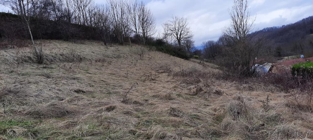 Vente Terrain terrain constructible à Varacieux Varacieux