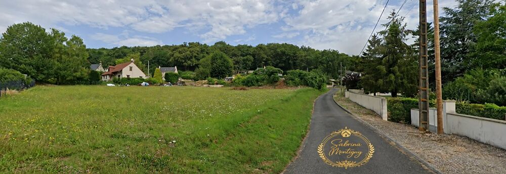 Vente Terrain EXCLUSIVITÉ - TERRAIN CONSTRUCTIBLE CRAVANT-LES-COTEAUX Cravant-les-côteaux