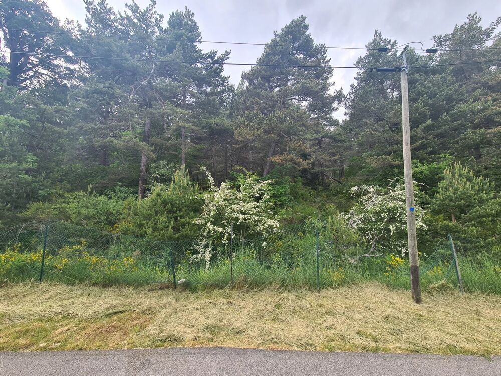 Vente Terrain THORENC :   Magnifique terrain de 2 578 m² Andon