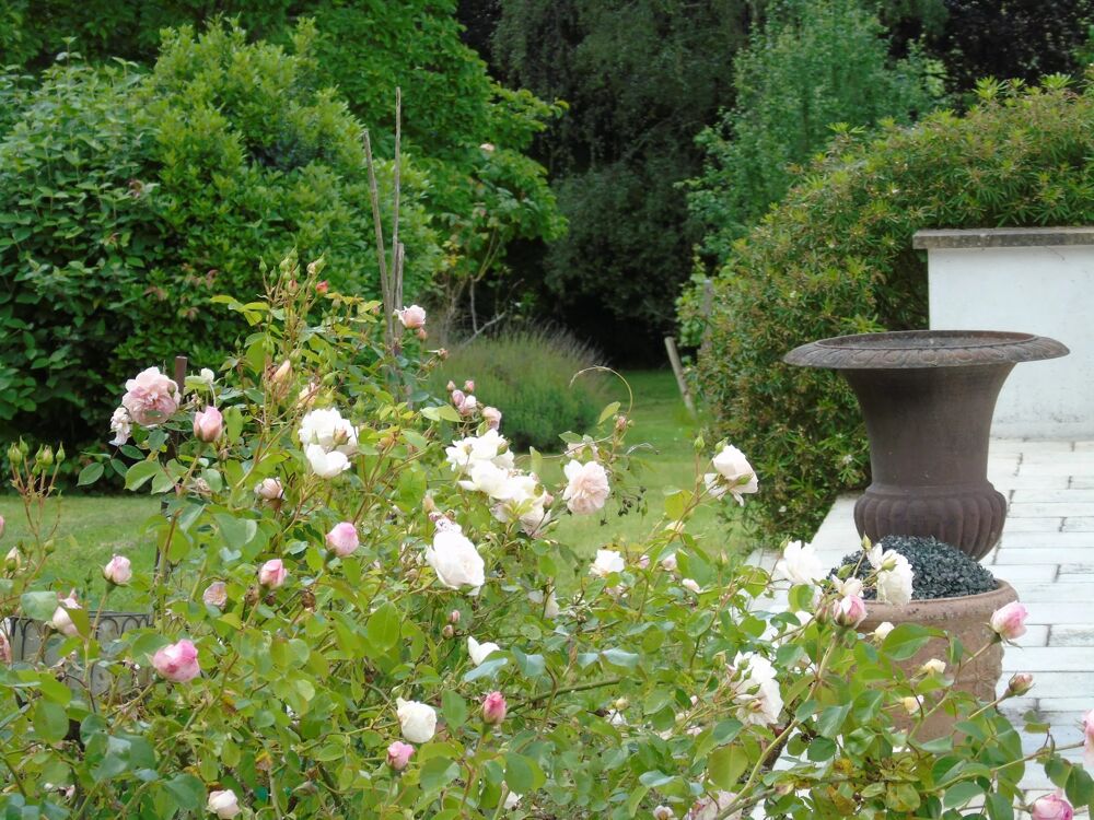 RARE MAISON SUR PARCELLE ARBORÉE DE 2 700 M²