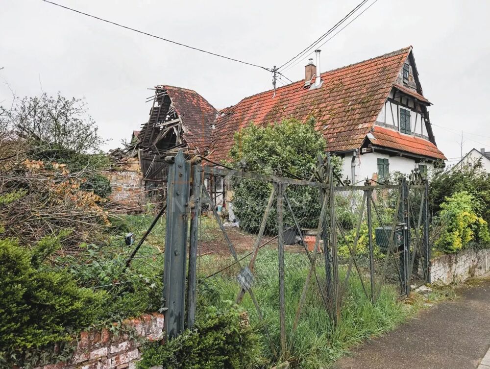 Vente Maison KUTZENHAUSEN maison alsacienne avec dépendances à rénover A VOS Kutzenhausen