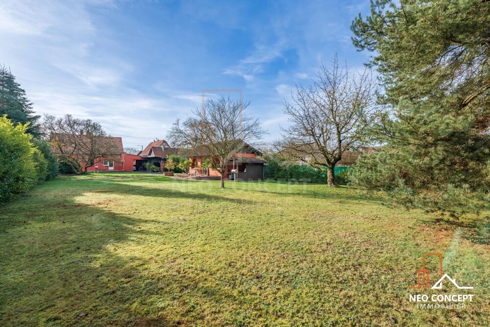Vente Maison Maison de 195m² sur 22 ares Kurtzenhouse