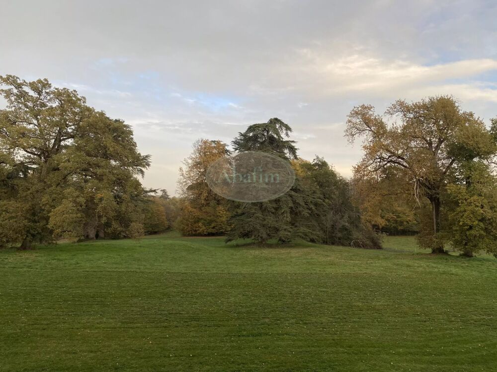 � vendre  Propri�t�/ch�teau Mirande (32300)