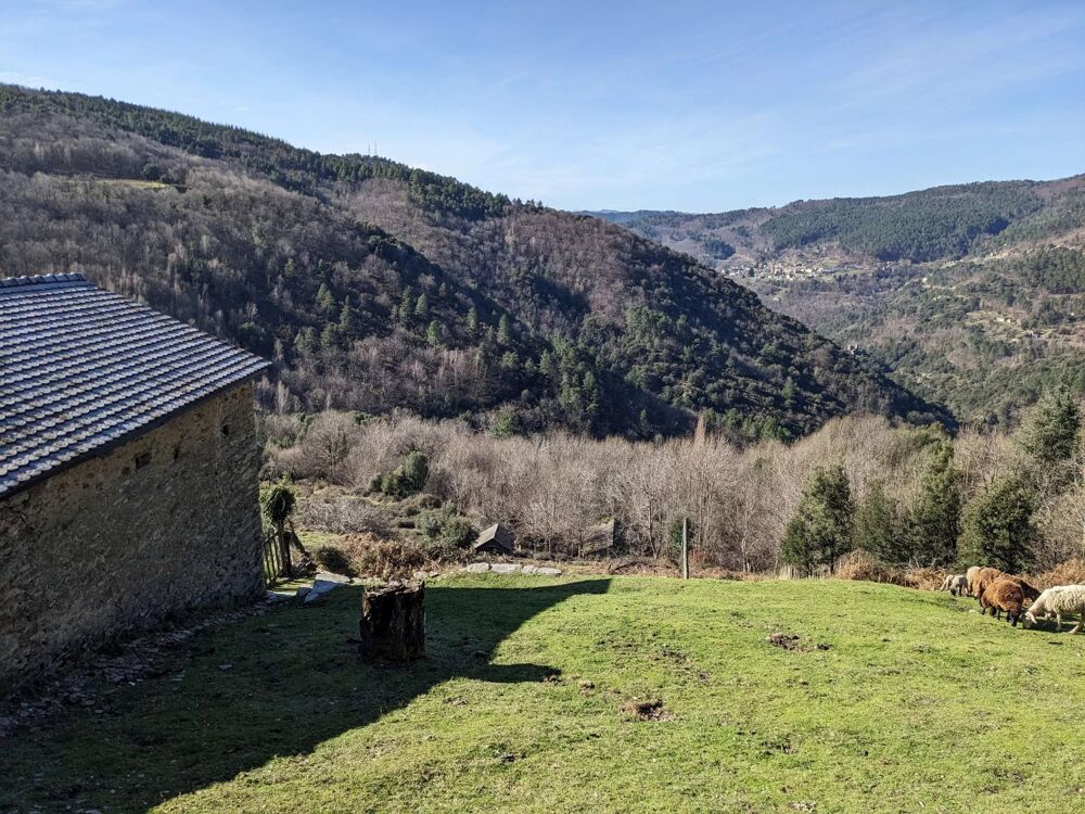 Vente Maison Proprit /Ferme  au calme Saint-germain-de-calberte