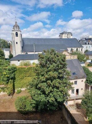  Appartement à louer 1 pièce 30 m²
