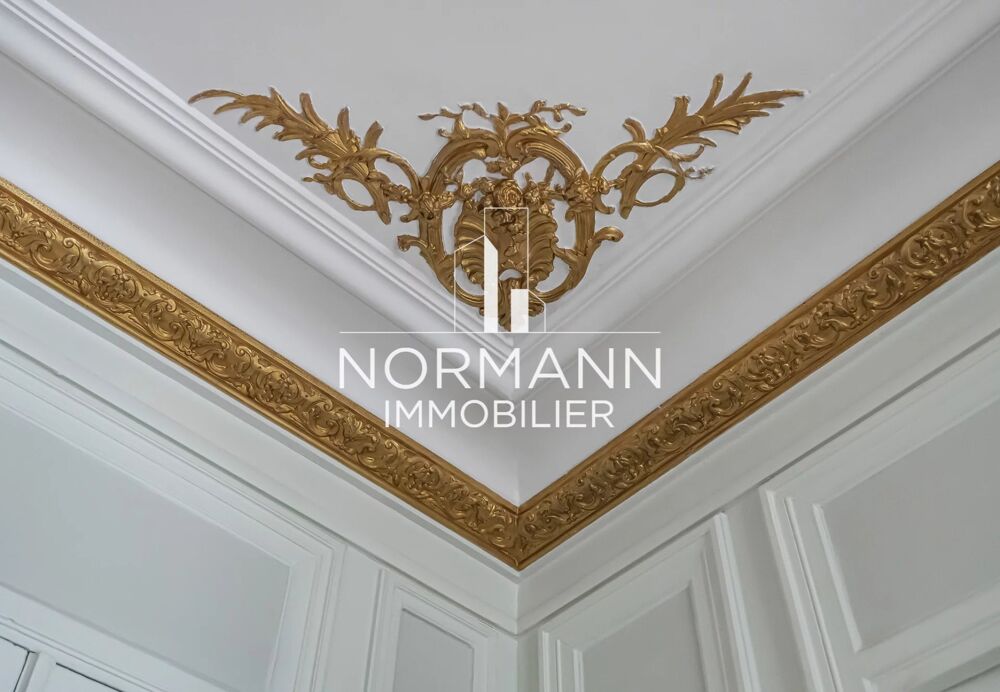 Vente Appartement PARIS 8 - RUE DU FAUBOURG SAINT HONORE / HOCHE - 5 CHAMBRES Paris 8