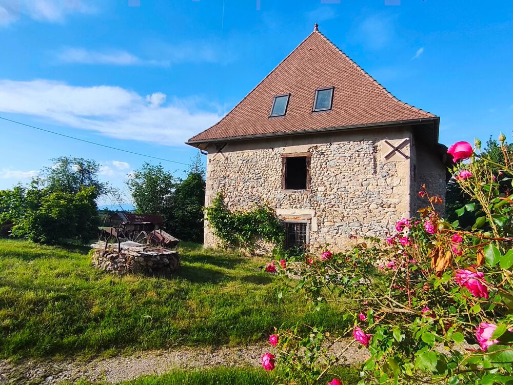 Vente Immeuble EXCLUSIVITÉ - FERME FORTE, DÉPENDANCES, ESPACES ET PATRIMOINE Saint-jean-d'avelanne