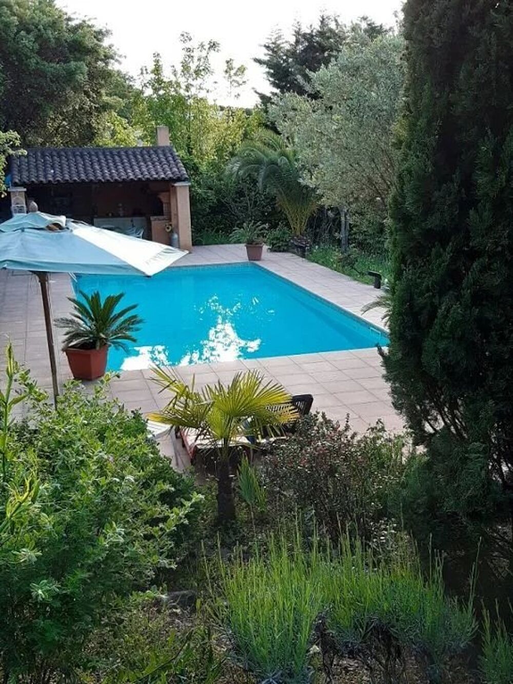 Location Appartement Studio meublé de 25m² avec accès piscine et pool house Fréjus