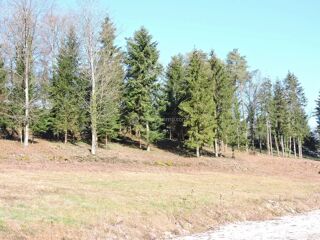 Terrain à vendre 