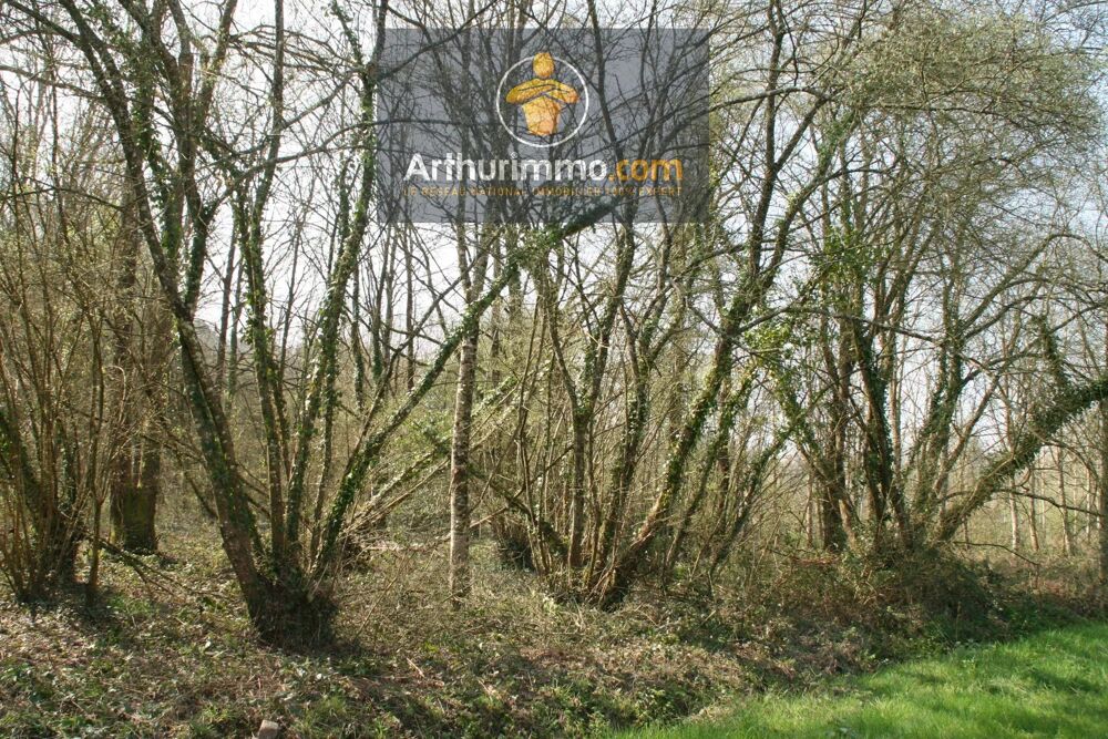 Vente Terrain GUILLAC TERRAIN BOISÉ 3 500 M² Guillac