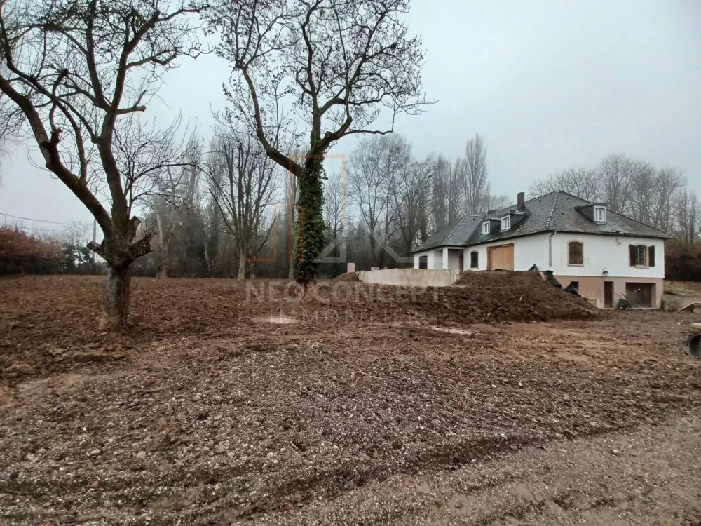 � vendre  Villa Handschuheim (67117)