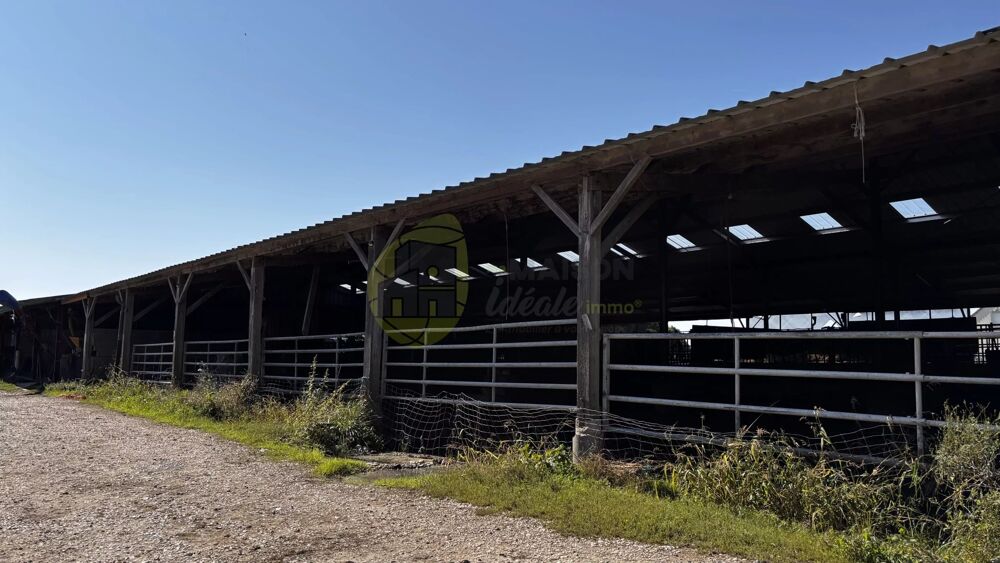 Vente Maison FERME BIOLOGIQUE AVEC SES DEPENDANCES SUR 172 HECTARES Neuillay-les-bois