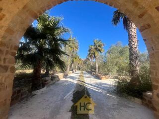  Maison � vendre 20000 m� Hammamet