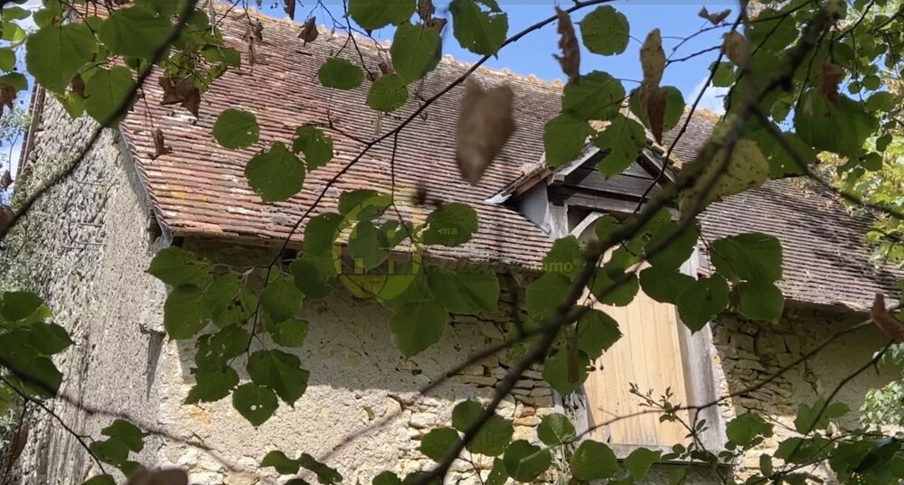 2 maisons à rénover + ruine, 4.000m2, compteur d'eau