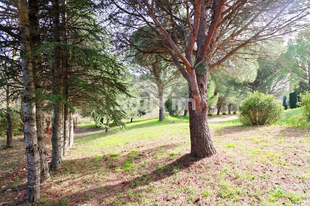 Au coeur d'un superbe Parc d'1,3 ha, arboré maison Provençale p
