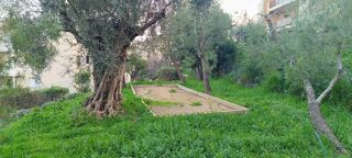  Appartement � vendre 3 pi�ces 65 m�