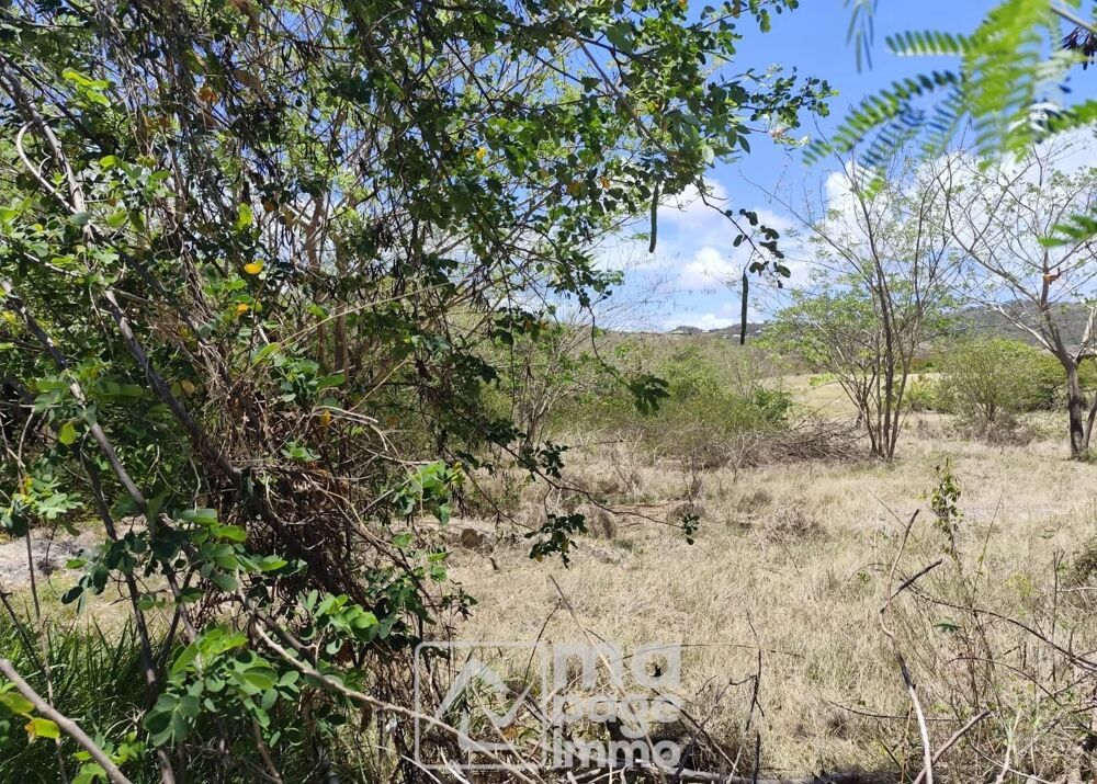 Vente Terrain Vends Grand Terrain Plat, Le Vauclin Le vauclin