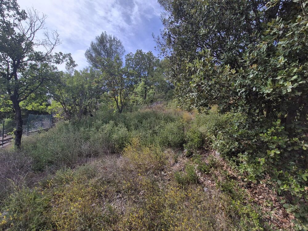 Vente Terrain Terrain Le Luc - 1229 m² - Non constructible Le luc