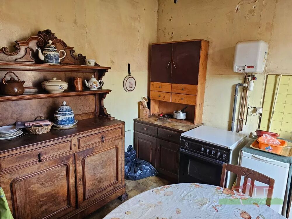 Vente Immeuble VIENNE, Immeuble Bourgeois de 360m² avec terrain de 830m² Vienne