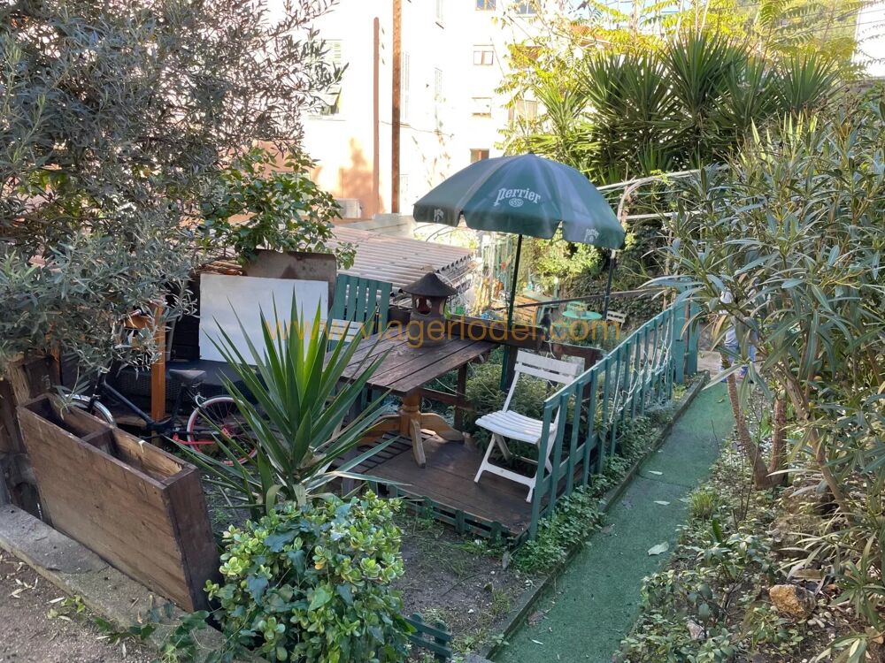 Vente Viager Rf. annonce : VIAGER OCCUPE AVEC RESERVE D'USUFRUIT - NICE (06) Nice
