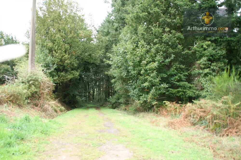 Vente Terrain GUEGON TERRAIN 4.52 HECTARES Guégon