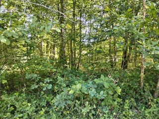  Terrain à vendre 2336 m²