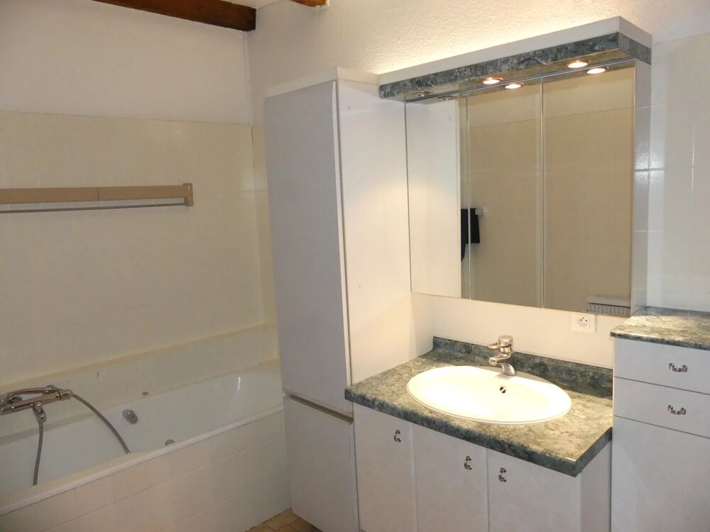 Location Appartement Superbe 2 pièces meublé quai Desaix Strasbourg