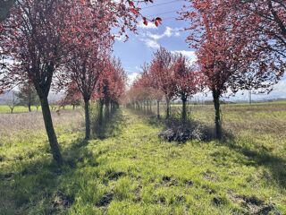  Maison � vendre 5 pi�ces 150 m�