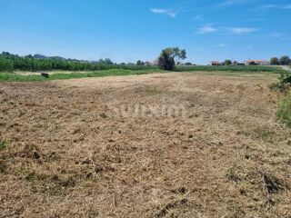  Terrain � vendre 1 pi�ce 1170 m�