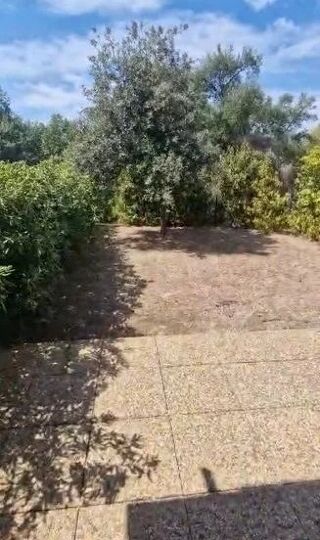  Appartement à louer 2 pièces 47 m²